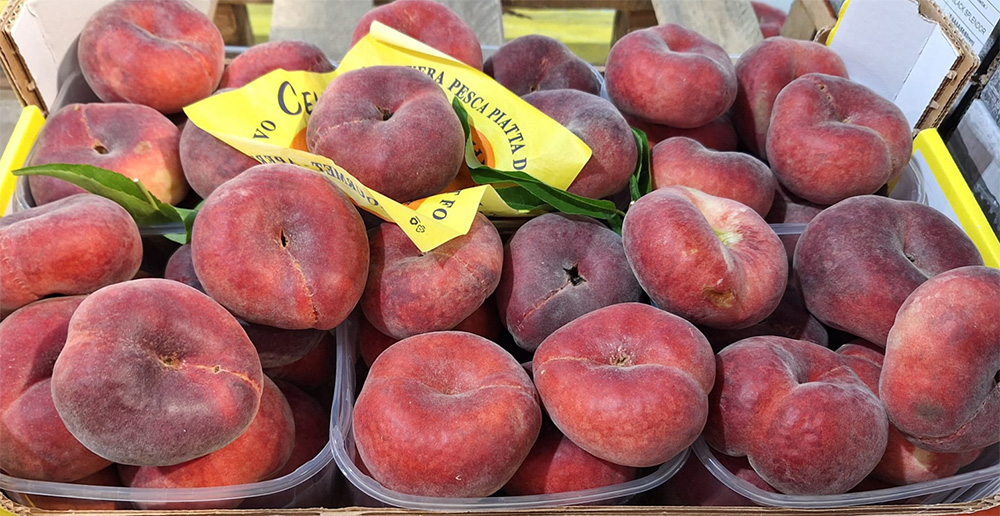 Pesche piatta - Italia - 3 euro al chilogrammo